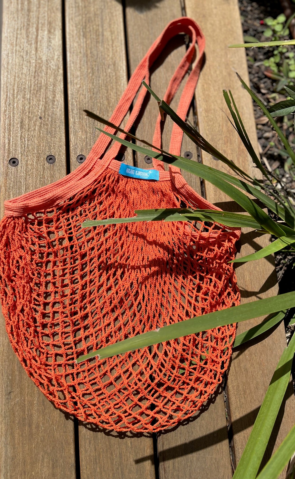 Blue Lagoon Swimwear